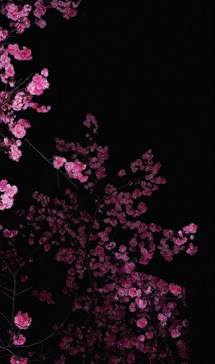 Eternal Embrace of Floral Elegance